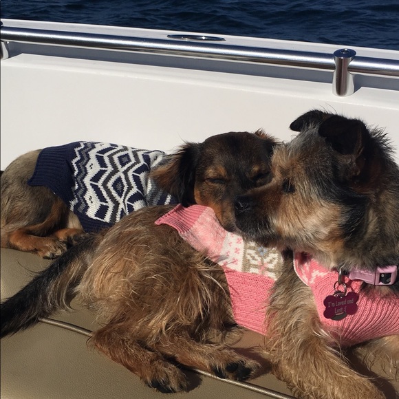 Meet your Posher, Joanne - Picture 5 of 8